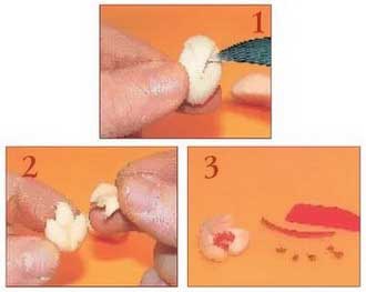 Иллюстрация к книге — Секреты украшения блюд праздничного стола [Autogen_eBook_id166.jpg]