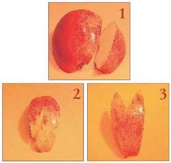 Иллюстрация к книге — Секреты украшения блюд праздничного стола [Autogen_eBook_id244.jpg]