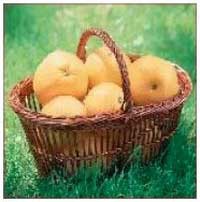 Иллюстрация к книге — Секреты украшения блюд праздничного стола [Autogen_eBook_id313.jpg]