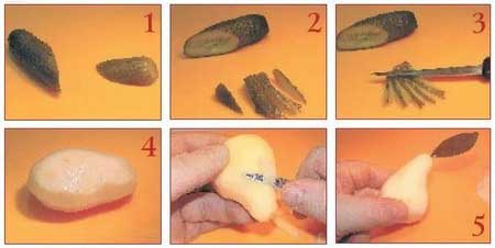 Иллюстрация к книге — Секреты украшения блюд праздничного стола [Autogen_eBook_id96.jpg]