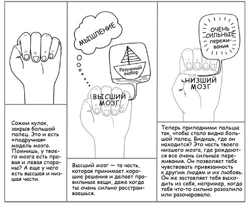 Иллюстрация к книге — Дисциплина без драм. Как помочь ребенку воспитать характер [i_112.jpg]