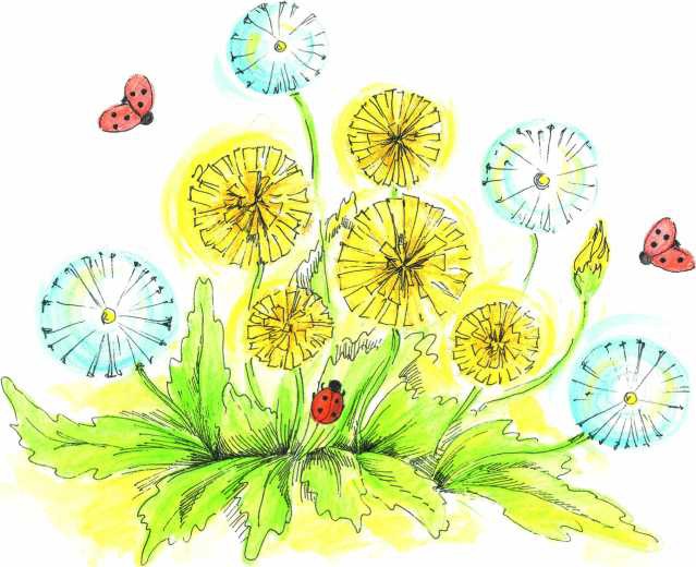 Иллюстрация к книге — Притчи. Книга 2. Основы мудрости [i_054.jpg]