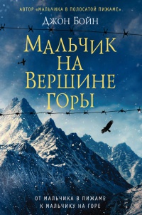 Книга Мальчик на вершине горы Книга Мальчик на вершине горы
