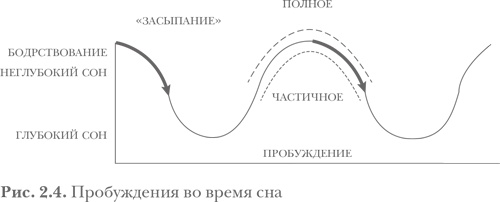 Иллюстрация к книге — Здоровый сон — счастливый ребенок [i_005.jpg]
