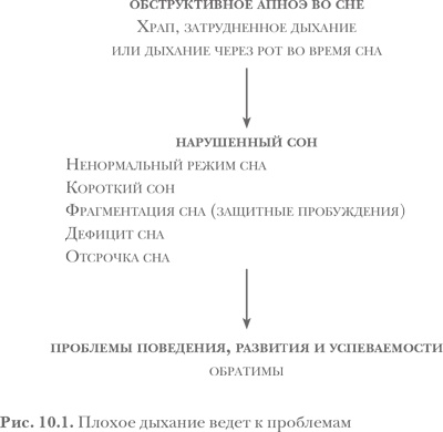 Иллюстрация к книге — Здоровый сон — счастливый ребенок [i_009.jpg]