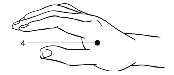 Иллюстрация к книге — Лечебный массаж внутренних органов [Autogen_eBook_id10.jpg]