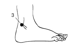 Иллюстрация к книге — Лечебный массаж внутренних органов [Autogen_eBook_id13.jpg]