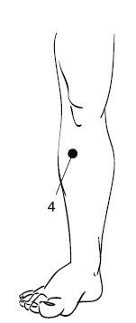 Иллюстрация к книге — Лечебный массаж внутренних органов [Autogen_eBook_id14.jpg]