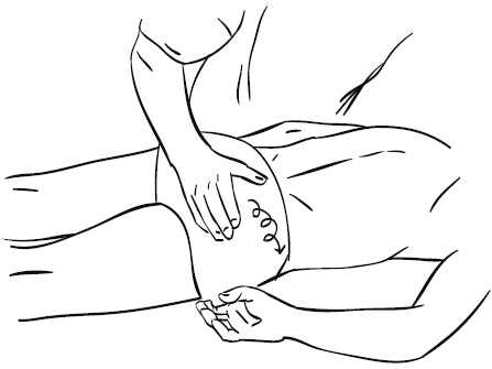 Иллюстрация к книге — Лечебный массаж внутренних органов [Autogen_eBook_id33.jpg]