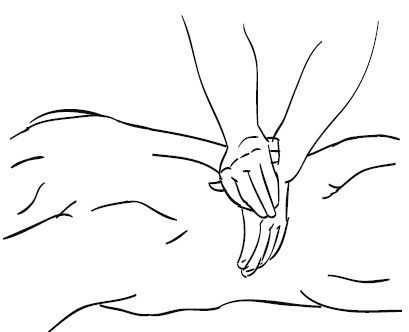 Иллюстрация к книге — Лечебный массаж внутренних органов [Autogen_eBook_id38.jpg]