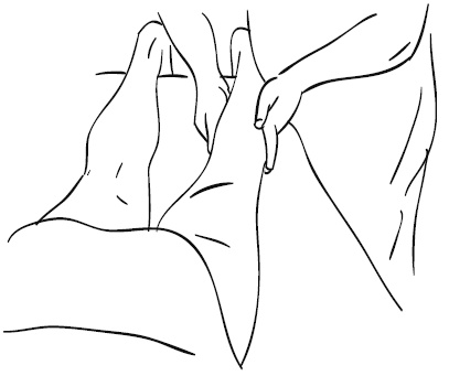 Иллюстрация к книге — Лечебный массаж внутренних органов [Autogen_eBook_id48.jpg]