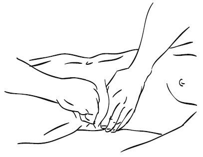 Иллюстрация к книге — Лечебный массаж внутренних органов [Autogen_eBook_id49.jpg]