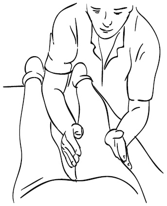 Иллюстрация к книге — Лечебный массаж внутренних органов [Autogen_eBook_id58.jpg]