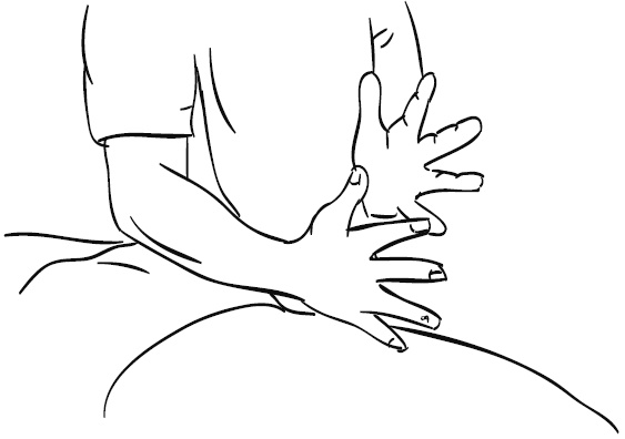 Иллюстрация к книге — Лечебный массаж внутренних органов [Autogen_eBook_id63.jpg]