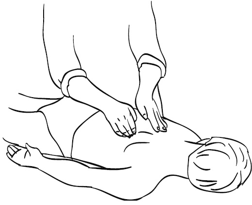 Иллюстрация к книге — Лечебный массаж внутренних органов [Autogen_eBook_id64.jpg]