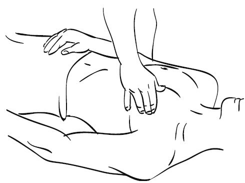 Иллюстрация к книге — Лечебный массаж внутренних органов [Autogen_eBook_id79.jpg]