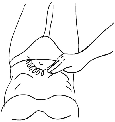 Иллюстрация к книге — Лечебный массаж внутренних органов [Autogen_eBook_id96.jpg]