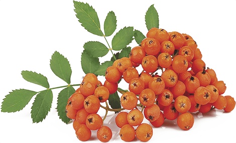 Иллюстрация к книге — Ты будешь счастливой, я - помогу! [i_045.jpg]