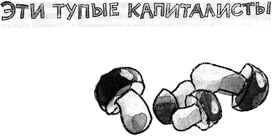 Иллюстрация к книге — Запуск разрешаю! [i_040.jpg]