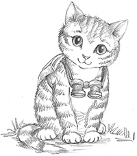 Иллюстрация к книге — Котёнок Белла, или Любопытный носик [i_002.jpg]