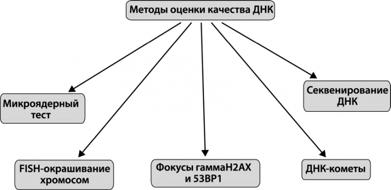 Иллюстрация к книге — Как победить свой возраст? 8 уникальных способов, которые помогут достичь долголетия [_027.jpg]