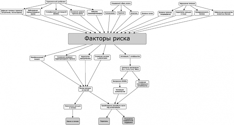 Иллюстрация к книге — Как победить свой возраст? 8 уникальных способов, которые помогут достичь долголетия [_206_207.jpg]