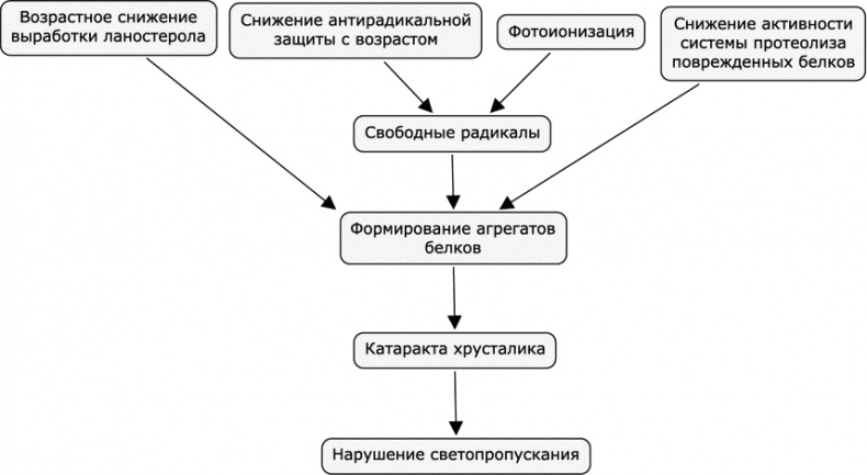 Иллюстрация к книге — Как победить свой возраст? 8 уникальных способов, которые помогут достичь долголетия [_222.jpg]