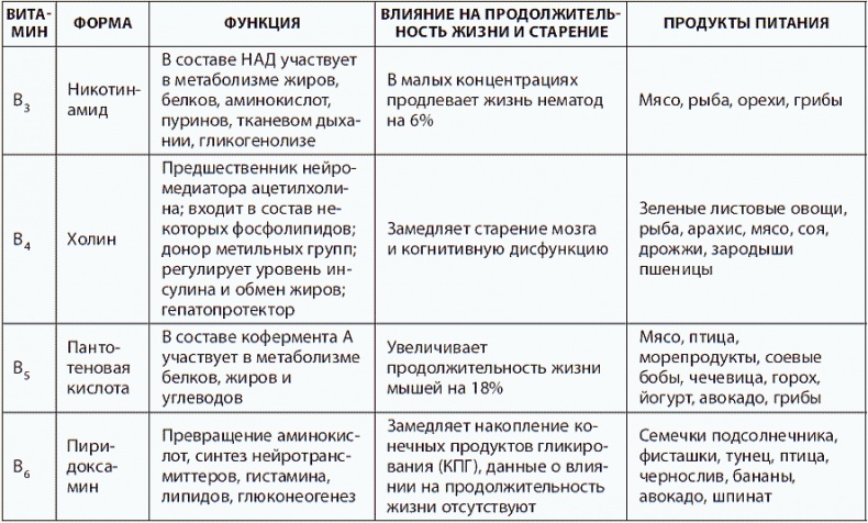 Иллюстрация к книге — 120 лет жизни – только начало. Как победить старение? [i_035.jpg]