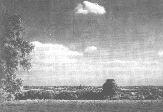 Иллюстрация к книге — Ричард III и битва при Босворте [i_001.jpg]