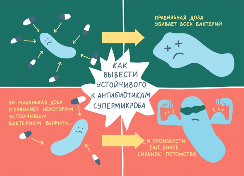 Иллюстрация к книге — Смотри, что у тебя внутри. Как микробы, живущие в нашем теле, определяют наше здоровье и нашу личность [i_012.jpg]