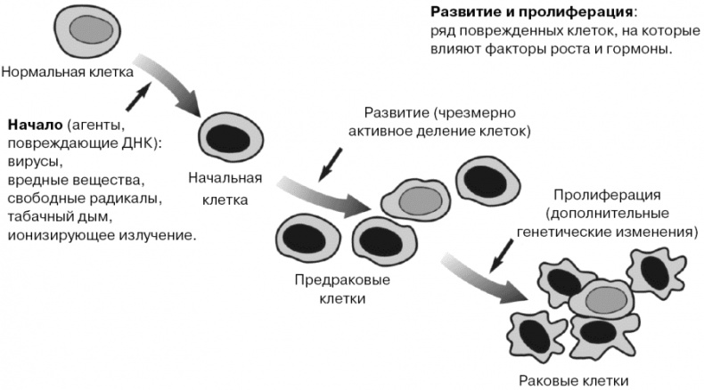 Иллюстрация к книге — Антирак груди [i_009.jpg]