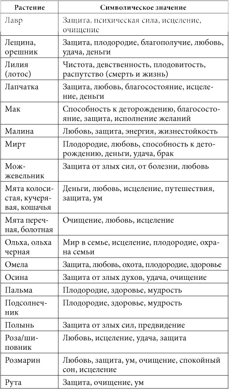 Иллюстрация к книге — 7 минут в день, чтобы желание сбылось [i_046.jpg]