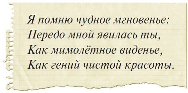 Иллюстрация к книге — Боцман, бурундук, кот и крыса. Сказка для детей и всех остальных [i_053.jpg]