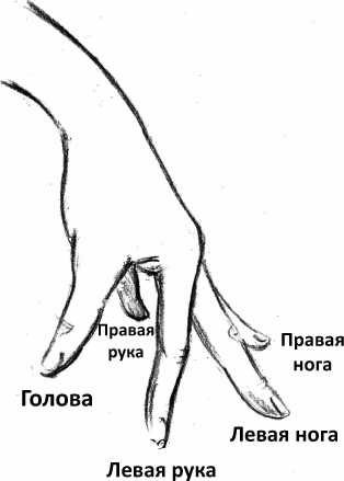 Иллюстрация к книге — От сомнений к определенности. Опыт врача [i_034.jpg]