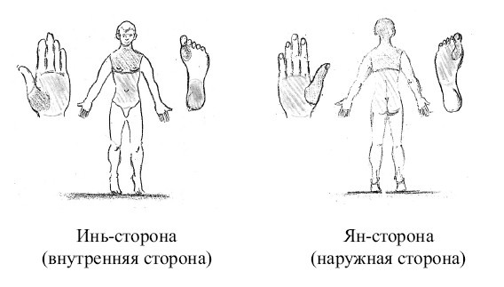 Иллюстрация к книге — От сомнений к определенности. Опыт врача [i_042.jpg]
