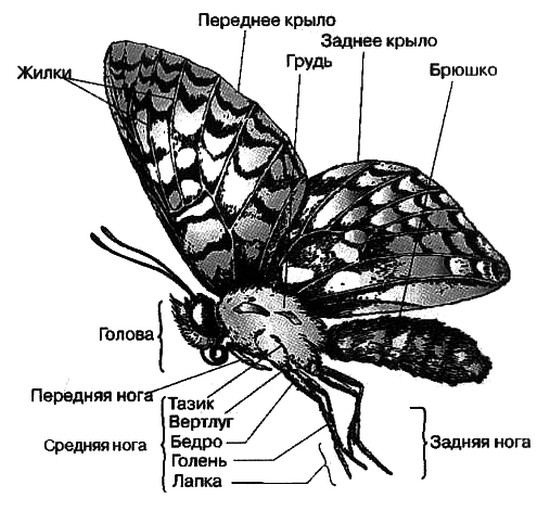 Иллюстрация к книге — Человек с яйцом. Жизнь и мнения Александра Проханова [i_083.jpg]