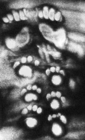 Иллюстрация к книге — Прибыльный детский клуб [Autogen_eBook_id10.jpg]