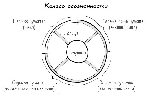 Иллюстрация к книге — Растущий мозг. Как нейронаука и навыки майндсайт помогают преодолеть проблемы подросткового возраста [_19.jpg]