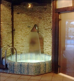Иллюстрация к книге — SPA, баня, бассейн [i_009.jpg]