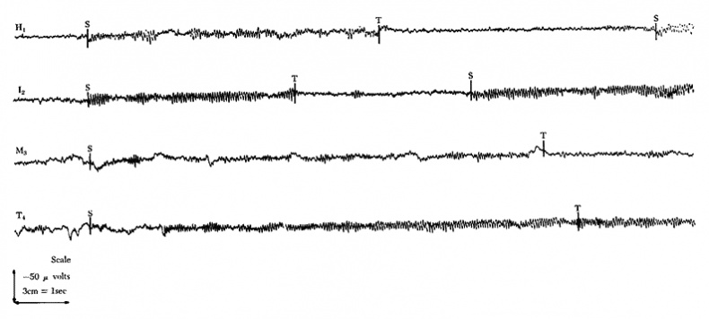 Иллюстрация к книге — Метод Сильвы. Управление разумом [_02.jpg]