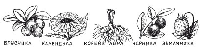 Иллюстрация к книге — Защити свое тело. Оптимальные методы очищения, укрепления и оздоровления [i_052.jpg]