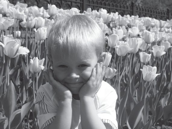 Иллюстрация к книге — Здоровые дети – счастливая семья [Autogen_eBook_id45.jpg]