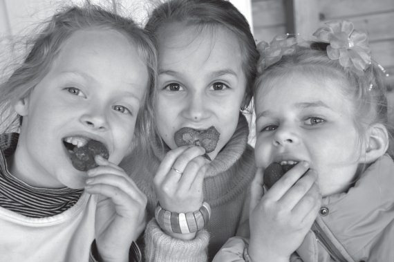 Иллюстрация к книге — Здоровые дети – счастливая семья [Autogen_eBook_id60.jpg]