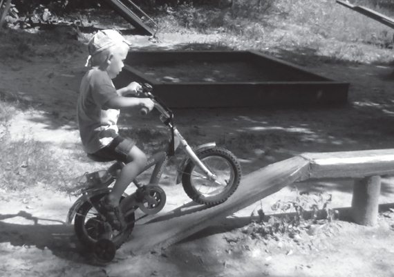 Иллюстрация к книге — Здоровые дети – счастливая семья [Autogen_eBook_id62.jpg]