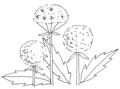 Иллюстрация к книге — Здоровые дети – счастливая семья [Autogen_eBook_id69.jpg]