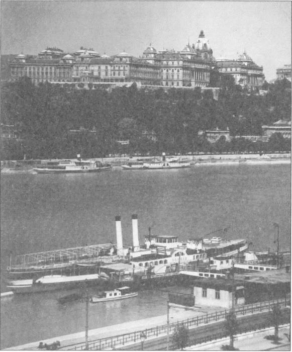 Иллюстрация к книге — &quot;Венгерская рапсодия&quot; ГРУ [i_001.jpg]