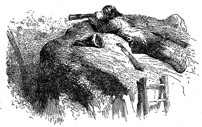 Иллюстрация к книге — Робинзон Крузо. Дальнейшие приключения Робинзона Крузо [i_032.jpg]