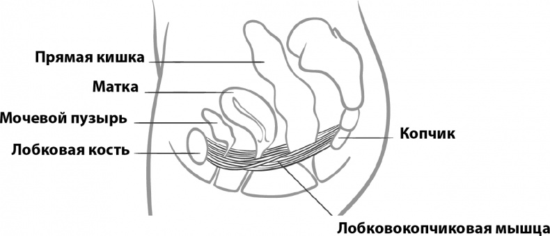 Иллюстрация к книге — Прайм-тайм. После 50 жизнь только начинается [i_078.jpg]