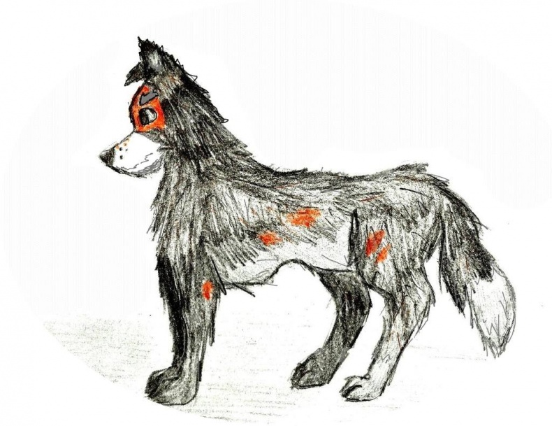 Иллюстрация к книге — Джули. Её мечты и приключения [images_5386f30b37eca2b43c8b4597_jpg.jpg]