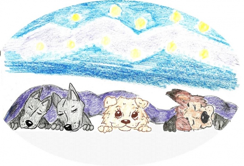 Иллюстрация к книге — Джули. Её мечты и приключения [images_5386f37f37eca27e268b458d_jpg.jpg]